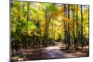 Wood Mount