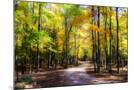 Wood Mount
