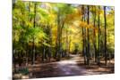Wood Mount