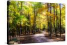 Stretched Canvas