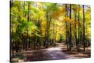 Stretched Canvas