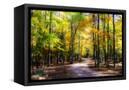 Canvas Black