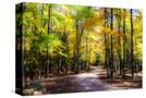 Stretched Canvas