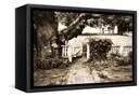 Canvas Black
