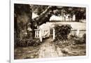 Gramercy White