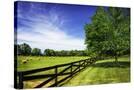 Stretched Canvas