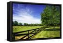 Canvas Black