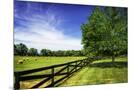 Wood Mount