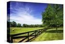 Stretched Canvas
