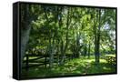 Canvas Black