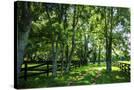 Stretched Canvas