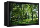 Canvas Black