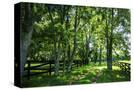 Stretched Canvas