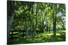Stretched Canvas