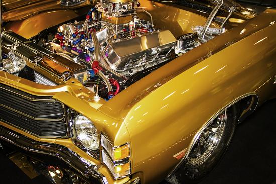 Premium Photographic Print, , large