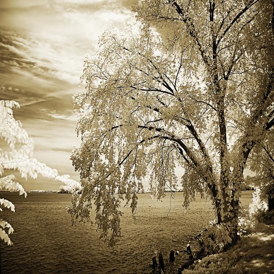 Photo, , large