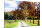 Wood Mount