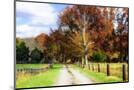 Wood Mount