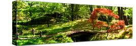 Stretched Canvas