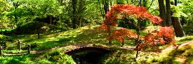 Laminate