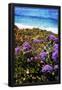 Essential Black