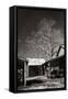Canvas Black