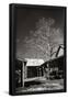 Essential Black