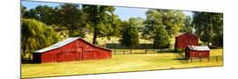 Wood Mount