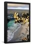 Essential Black