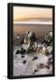 Essential Black