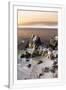 Gramercy White