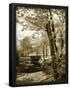 Essential Black