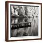 Brown Frame