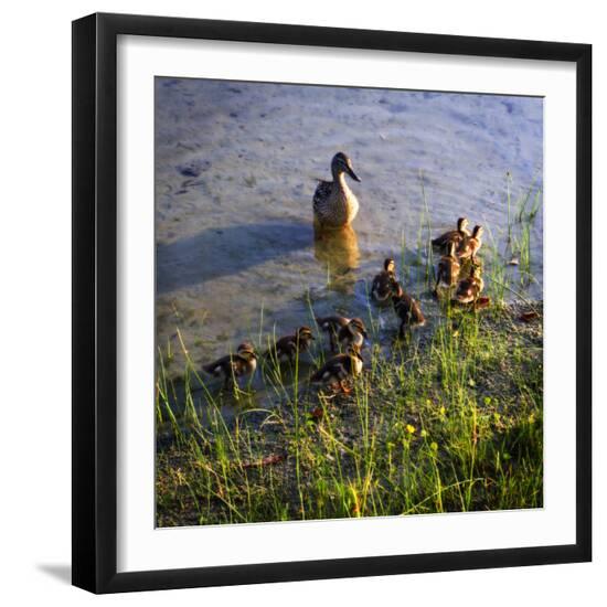 Photographic Print, , large