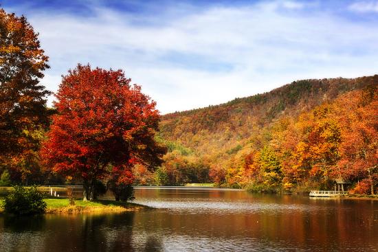 Premium Photographic Print, , large