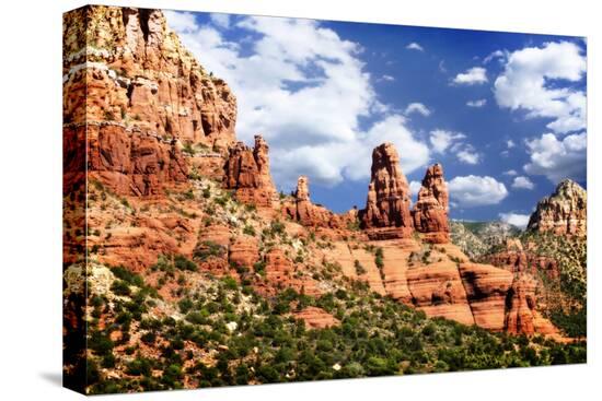 Stretched Canvas Print, , large