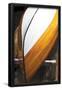 Essential Black