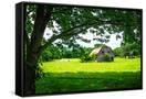 Canvas Black
