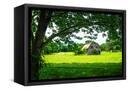 Canvas Black
