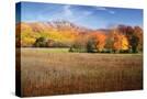 Stretched Canvas
