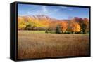 Canvas Black