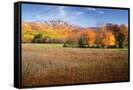 Canvas Black