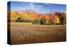 Stretched Canvas