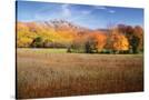 Stretched Canvas