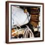 Brown Frame
