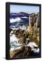 Essential Black