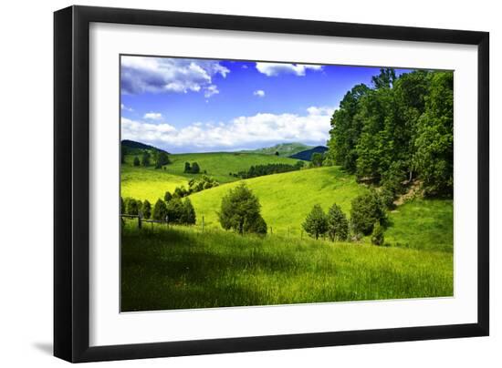 Premium Photographic Print, , large