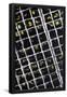 Essential Black