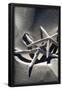 Essential Black