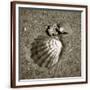 Chelsea Espresso